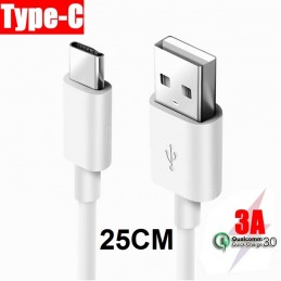 CABLE SAFETY TIPO C A USB