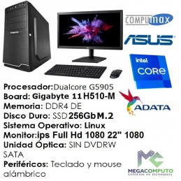 PC INTEL CDC-4GB RAM-256GB SSD